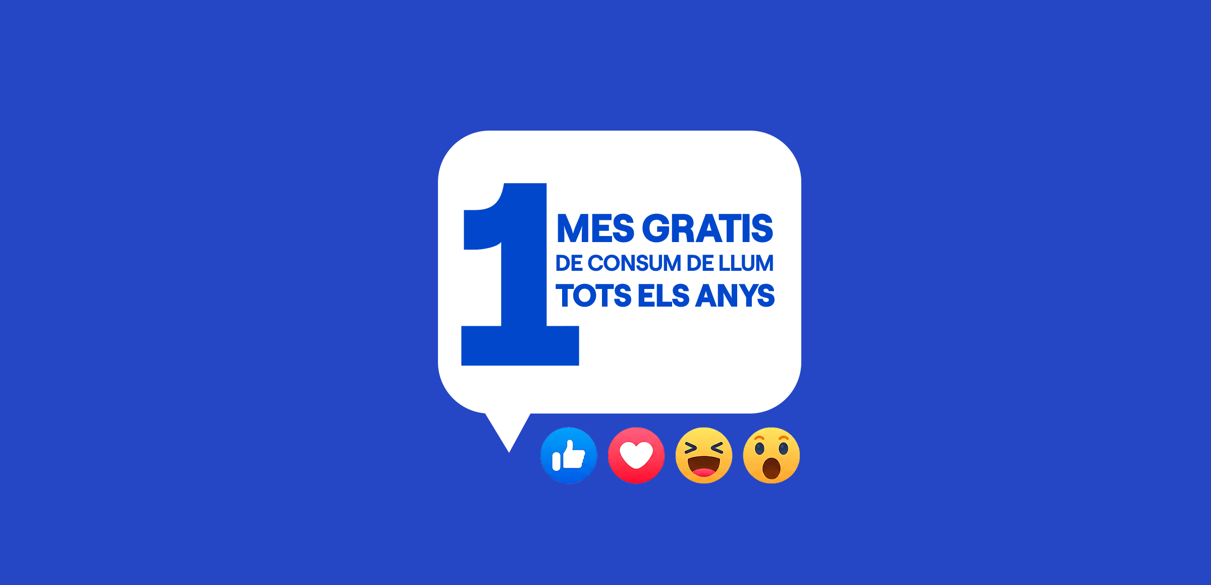 1 mes gratis de consum de llum tots els anys.