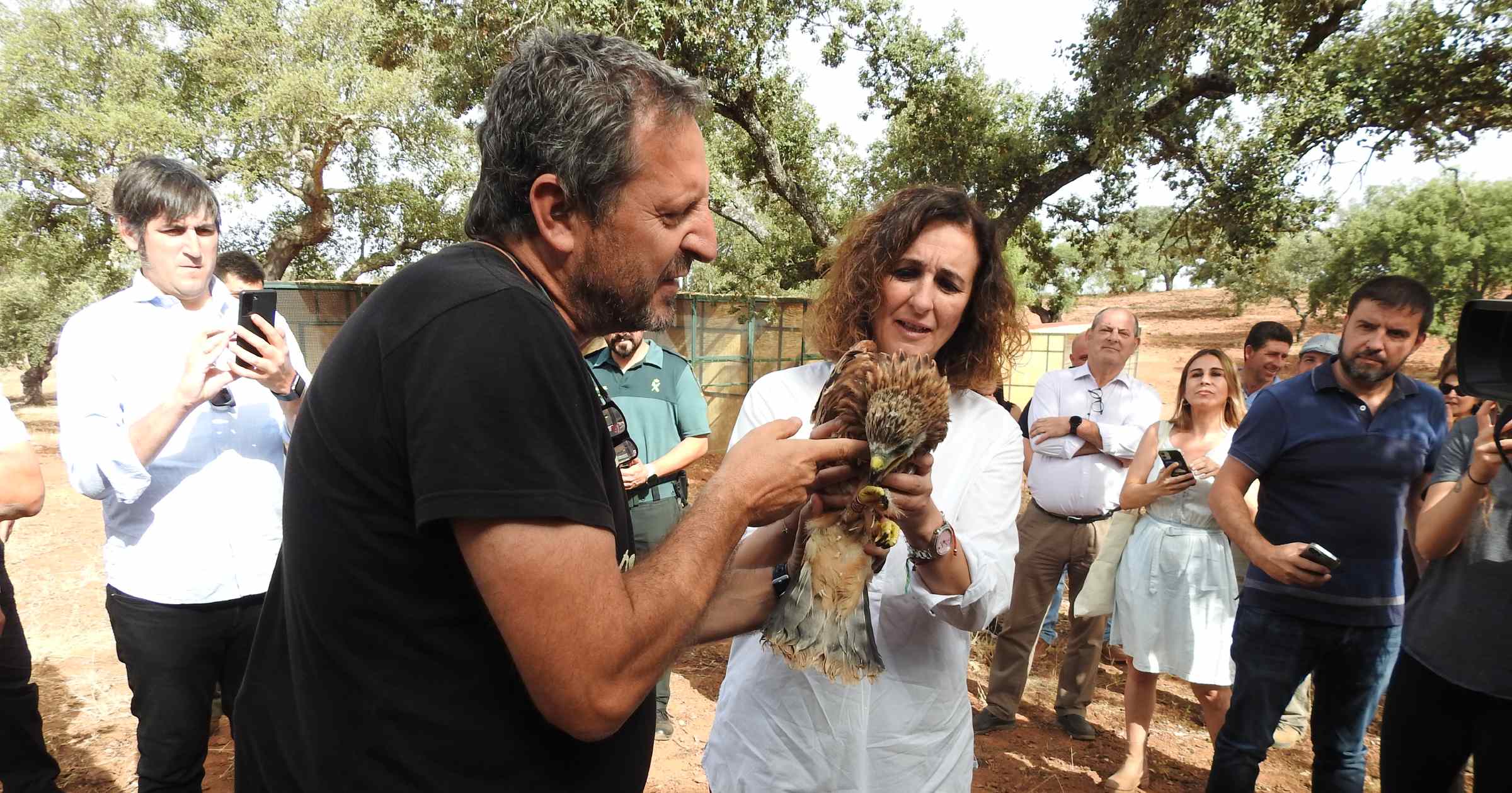 The AMUS-Action for the Wild World partnership is strengthening the current population of the red kite in southwestern Spain with the reintroduction of individuals in that area.