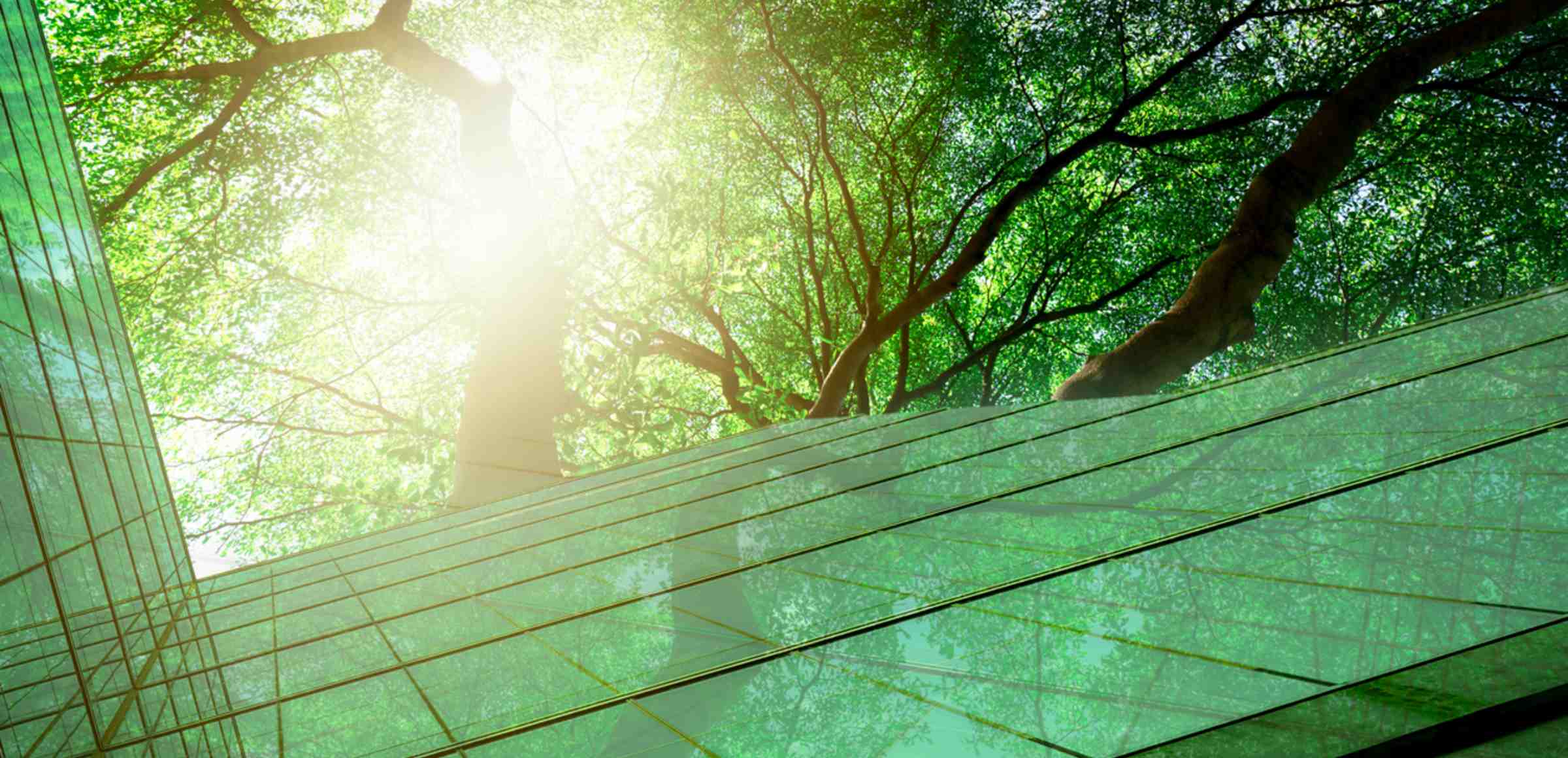 Huella de carbono y cambio climático